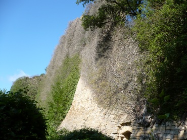 Château de Lourdon avant débroussaillage